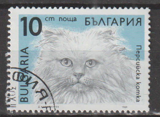 THEMATIC CATS BULGARIA CTO