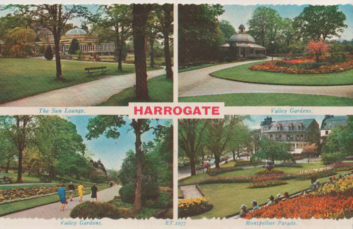 MINT POST CARD