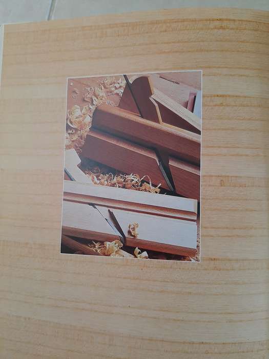 The Garret Wade bookof WORKING TOOLS  - Garry CHINN AND John SAINSBURY