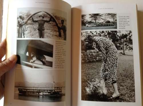A Lion in the Bedroom by Pat Cavendish O`Neill