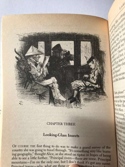 Through the Looking-Glass by Lewis Carroll