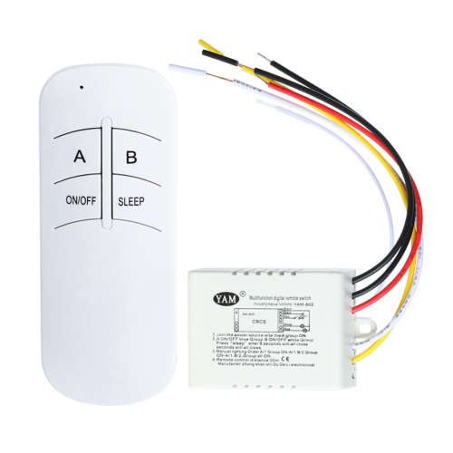 Controller + Remote 2 Channel 220V  **IN STOCK**