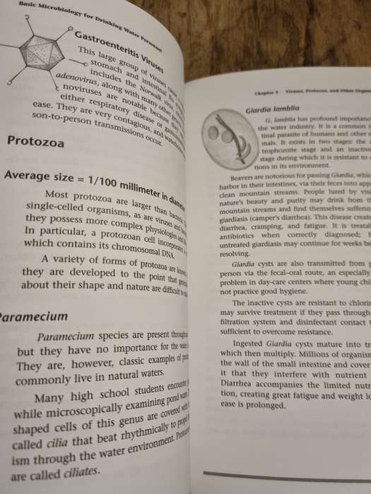 Basic Microbiology for Drinking Water Personnel