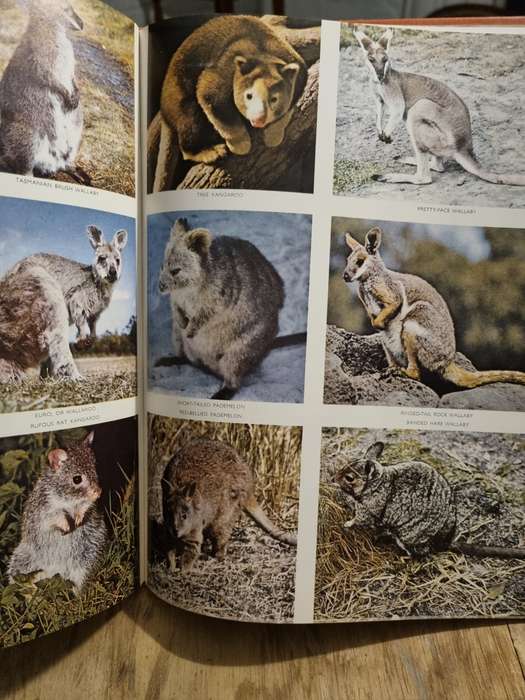 Australasia - Life Nature Library
