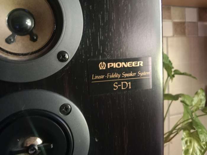 Pioneer Vintage bookshelf speakers Rare set