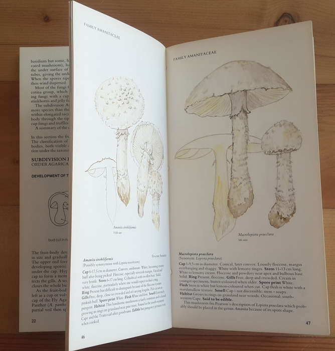 A Field Guide to the Mushrooms of South Africa