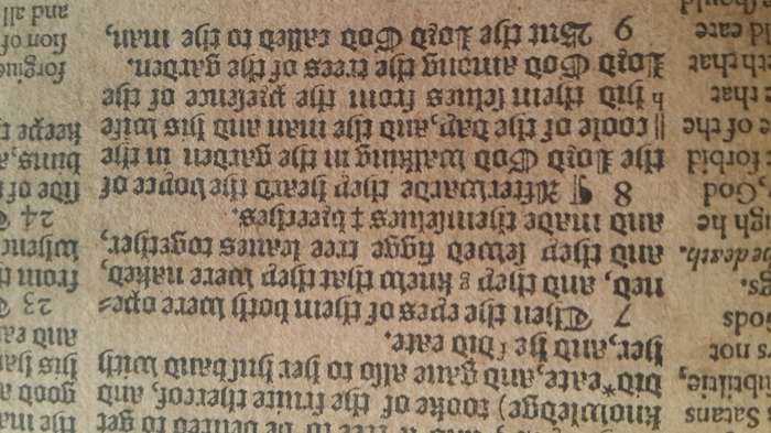 1589 Geneva ("Breeches") Bible