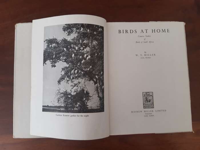 Birds at home; Camera studies of Birds of South Africa