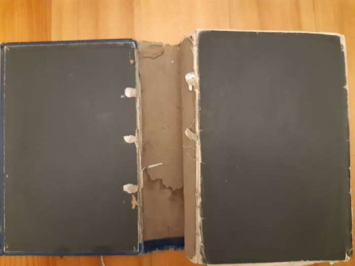 Phantasms of the Living - 2 volumes