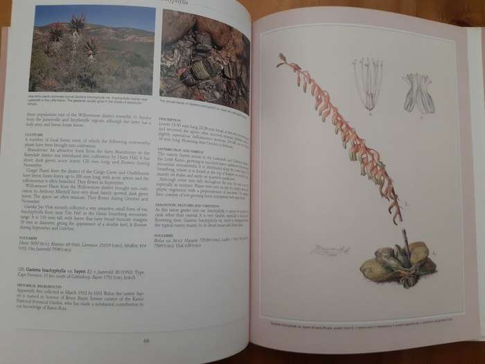 Gasterias of South Africa: A New Revision of a Major Succulent Group