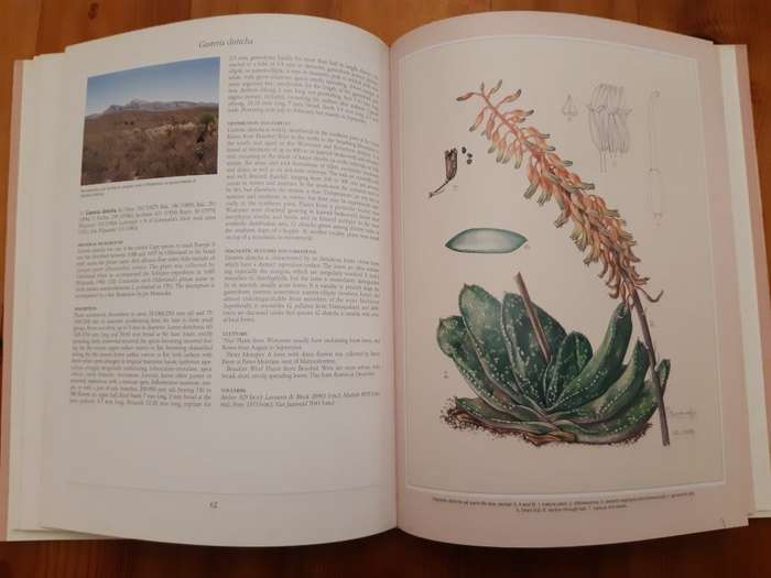 Gasterias of South Africa: A New Revision of a Major Succulent Group