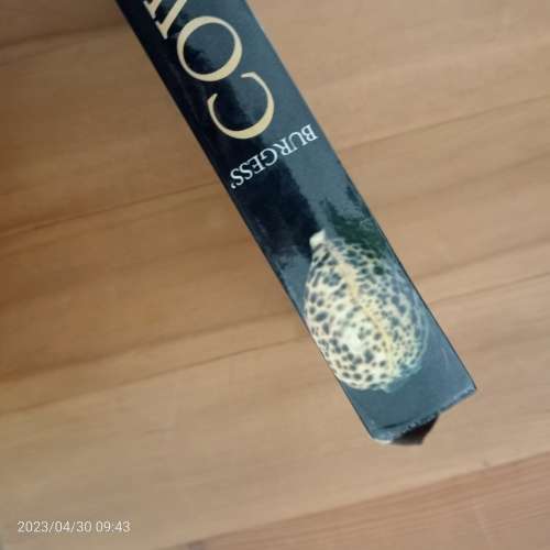 Burgess` Cowries of the world - C. M Burgess