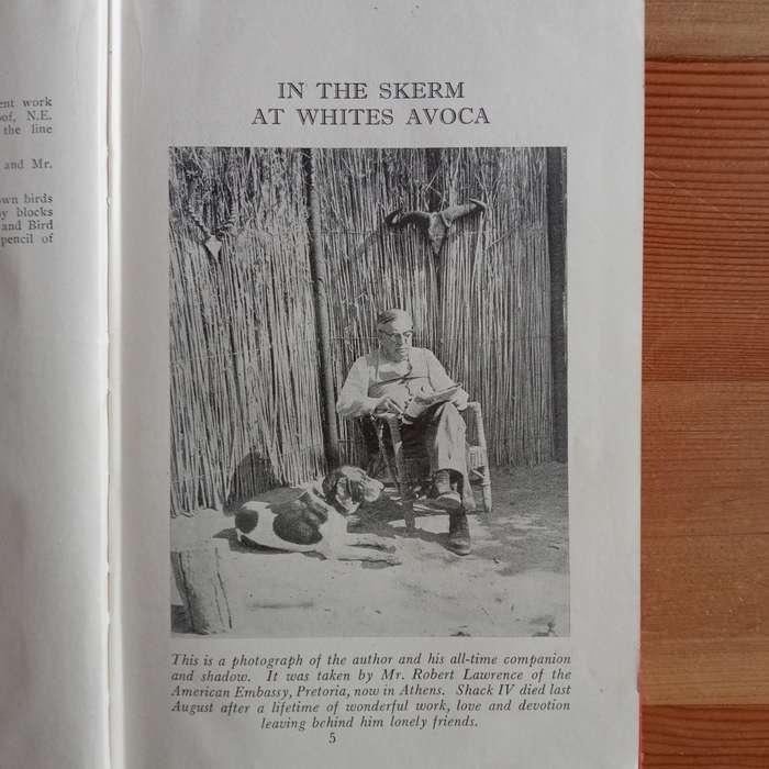CLEARANCE! Call Of The Bushveld - A. C. White