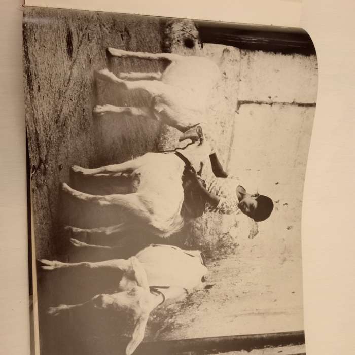 Images of My World - John Brett Cohen