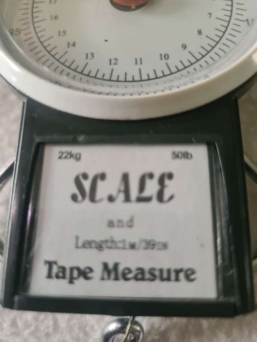 2 IN ONE SCALE AND TAPE MEASURE