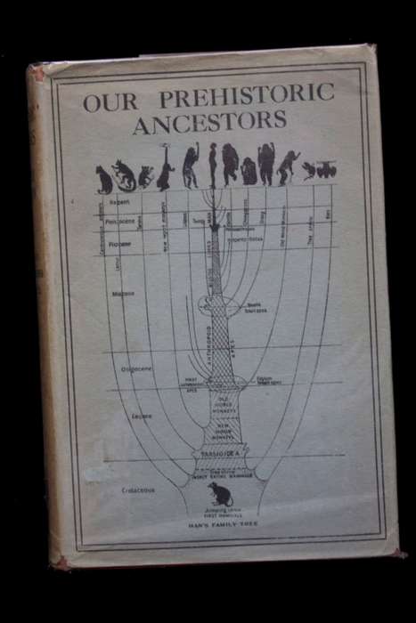 Our Prehistoric Ancestors by Dorothy Davison