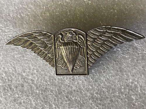 UNIDENTIFIED PARAWINGS - 2 PINS