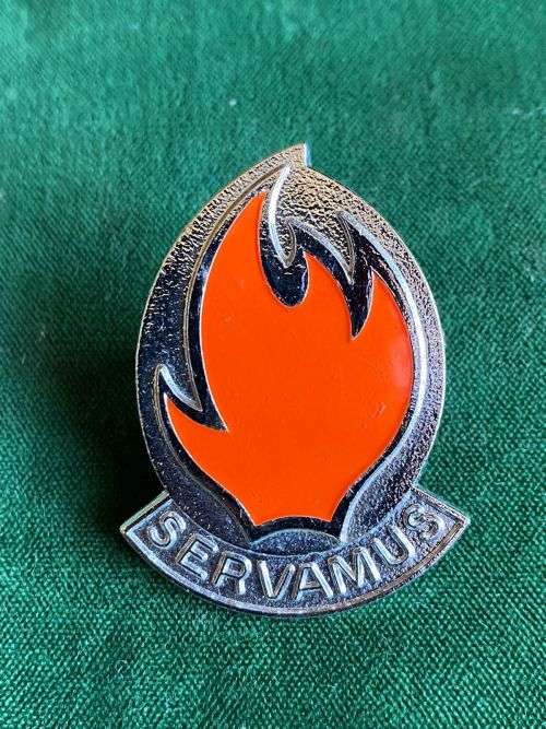 113 BATTALION CHROMED AND ENAMEL CAP BADGE-APPROVED IN 1980-2X SCREW LUGS