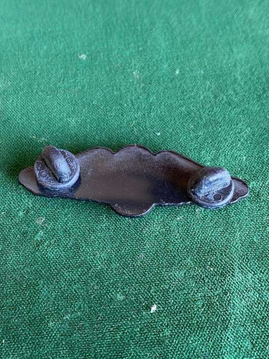 SA PARA INSTRUCTOR(FREEFALL QUALIFIED)-WORN FROM 1970`S- 2 PINS-MESS DRESS