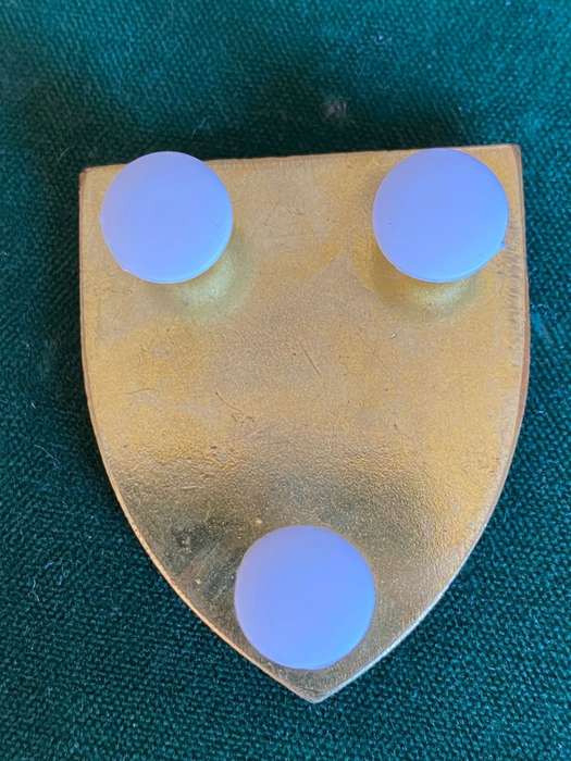 SWA 913 BATTALION POCKET FLASH-3 PINS