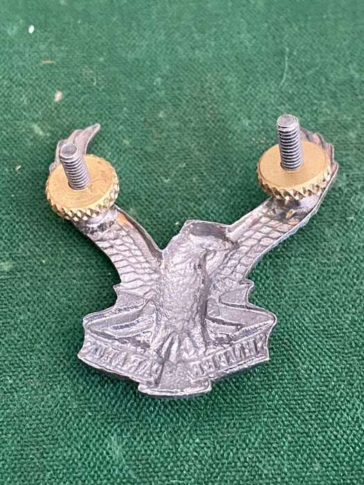 SWA AIR FORCE OXIDISED SILVER CAP BADGE- 2X SCREW LUGS