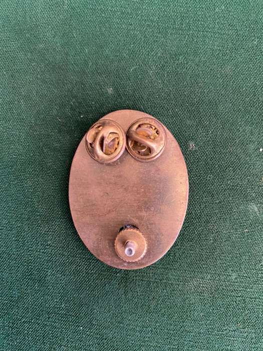 SWA HEAD QUARTERS,OXIDISED SILVER CAP BADGE-SMALL VARIATION BACK PLATE-MEASURES 45 X 35 MM-ALL PINS
