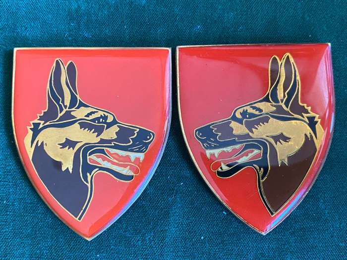 SADF DOG CENTRE FLASH PAIR-GOLD TYPE-2ND ISSUE-ORIGINAL-NO PINS