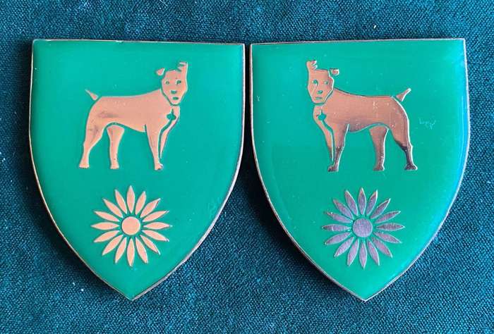 BABERTON COMMANDO 2ND ISSUE FLASH PAIR-ORIGINAL- NO PINS- SILICONE CAN BE CLEANED