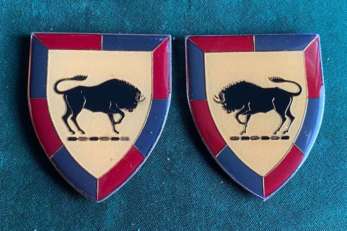 SA ARMY COLLEGE 3RD ISSUE FLASH PAIR-ORIGINAL- NO PINS-SILICONE CAN BE CLEANED