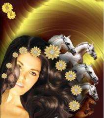 Mistriss Products Horse Shampoo