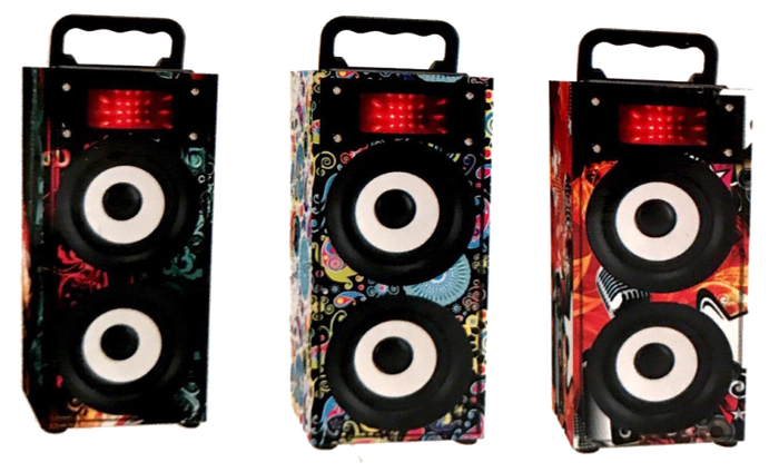 Portable Bluetooth Speaker with FM Radio, LED Lights, Support USB, SD Card & AUX