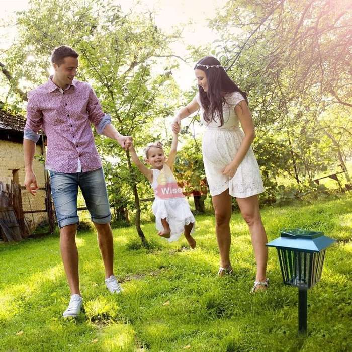 Solar UV Mosquito Killer & White LED Garden Light in one.  Say Goodbye to Annoying bugs