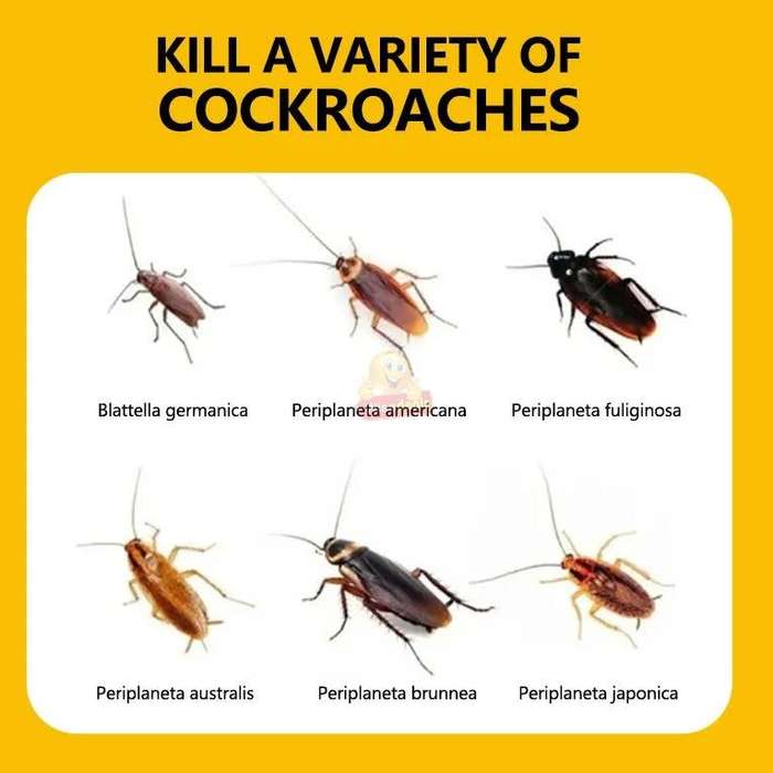 2 X Roach Expert Cockroach Gel, is a strong and wide-reaching solution to your cockroach problems!