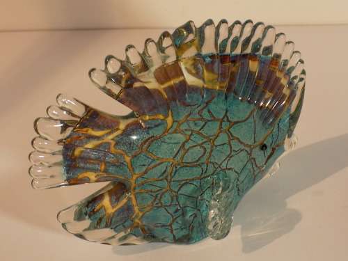 Glass Fish with Striking Coral Effect Colours