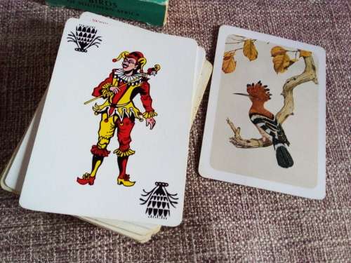 Preused Protea Birds of Southern Africa Playing Cards