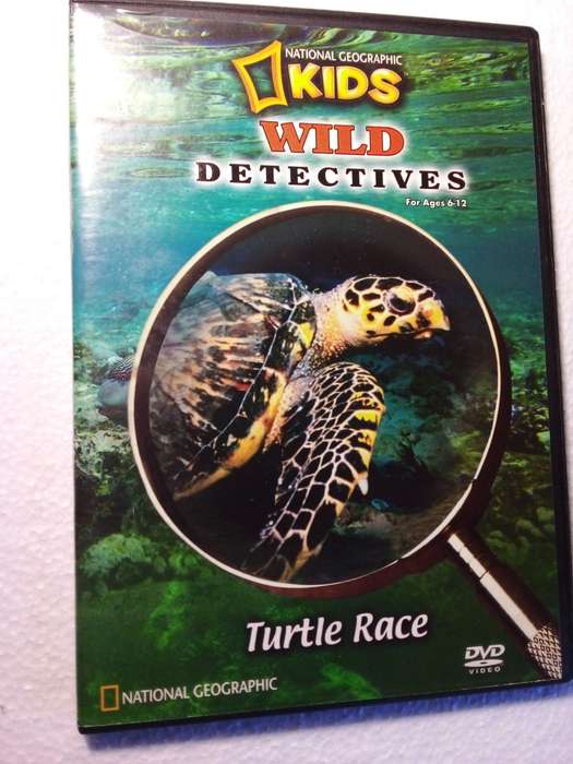 Turtle Race Kids Documentary DVD