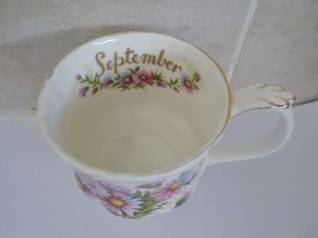 STUNNING!! ROYAL ALBERT "SEPTEMBER" FLOWERS OF THE MONTH COFFEE MUG WOW!! WOW!!