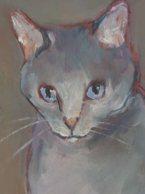 Stunning Alison Riordan `cat sitting` acrylic on board Value R2400
