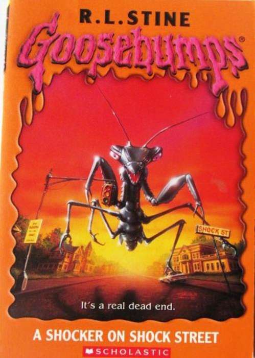 R.L STINE Collection - GOOSEBUMPS - A Shocker on Shock Street