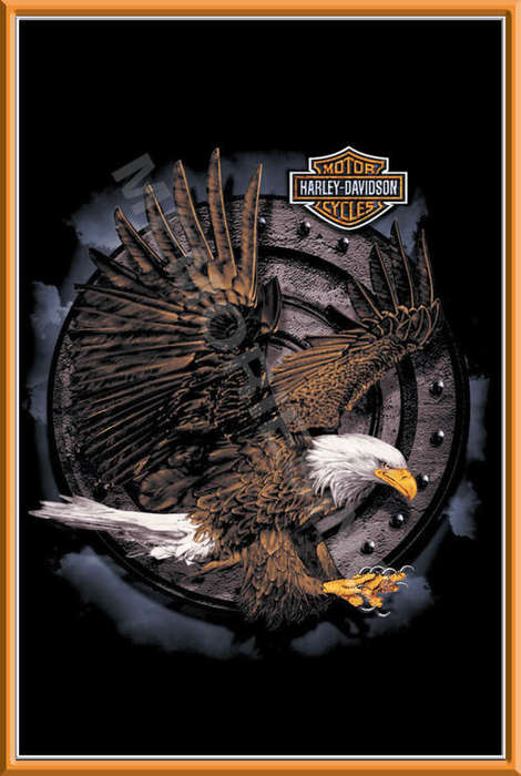 Action Eagle - Metal Sign