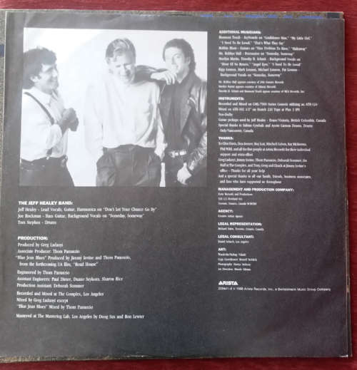 The Jeff Healey Band - See the Light 1988 Vinyl LP Europe