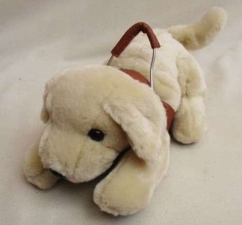 ADORABLE PUPPY WITH HARNESS!!