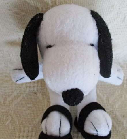 A CUTE SMALL SNOOPY IN SANDALS