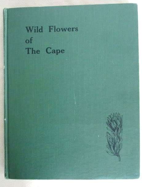 WILD FLOWERS OF THE CAPE - A FLORAL YEAR