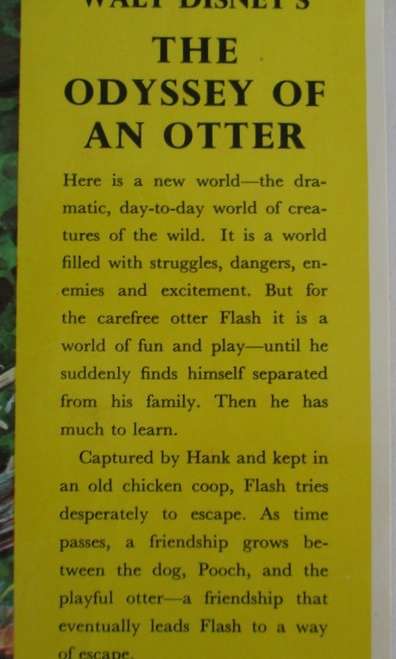 RATHER RARE - 1960 - WALT DISNEY'S THE ODYSSEY OF AN OTTER - FACT-FICTION HARDCOVER WITH DUST COVER