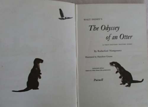RATHER RARE - 1960 - WALT DISNEY'S THE ODYSSEY OF AN OTTER - FACT-FICTION HARDCOVER WITH DUST COVER