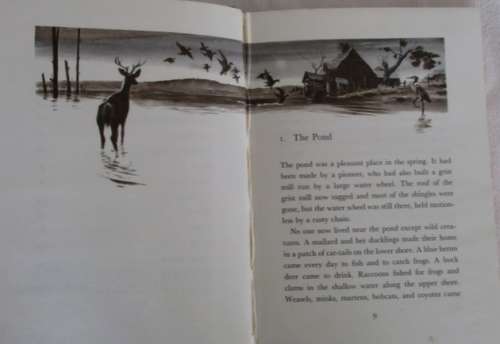 RATHER RARE - 1960 - WALT DISNEY'S THE ODYSSEY OF AN OTTER - FACT-FICTION HARDCOVER WITH DUST COVER