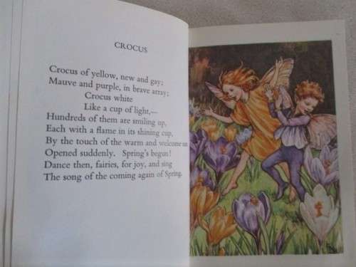 TWO CICELY MARY BARKER FLOWER FAIRIES BOOKS (SOFT COVERS)