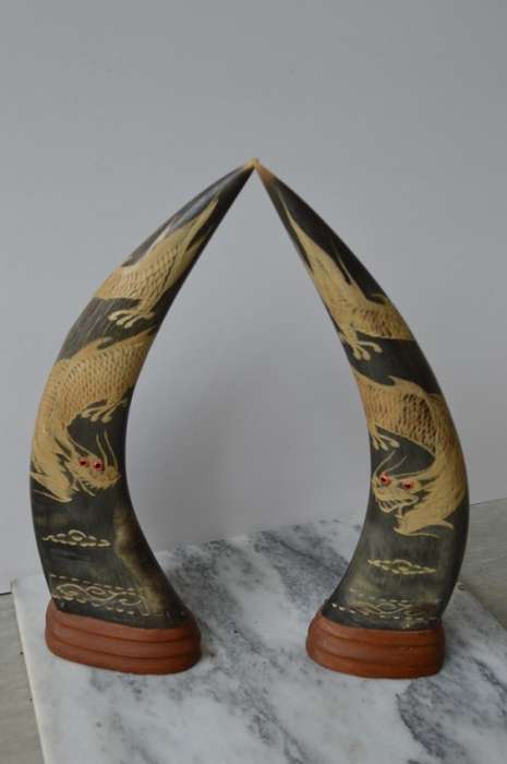 A PAIR OF EXQUISITE  ASIAN WATER BUFFALO CARVED DRAGON HORNS