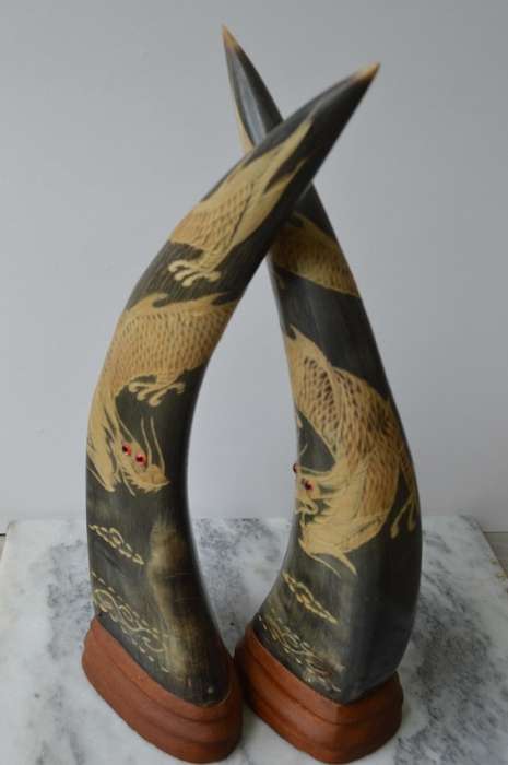 A PAIR OF EXQUISITE  ASIAN WATER BUFFALO CARVED DRAGON HORNS